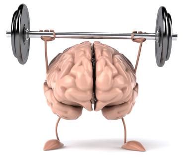 A silly picture of a brain with arms and legs lifting a barbell as if to work out.